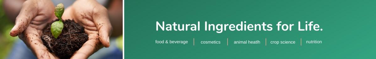 AVT Naturals